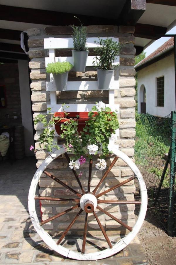 Palic Vila Masa Pr Emina Stipancevic Dış mekan fotoğraf