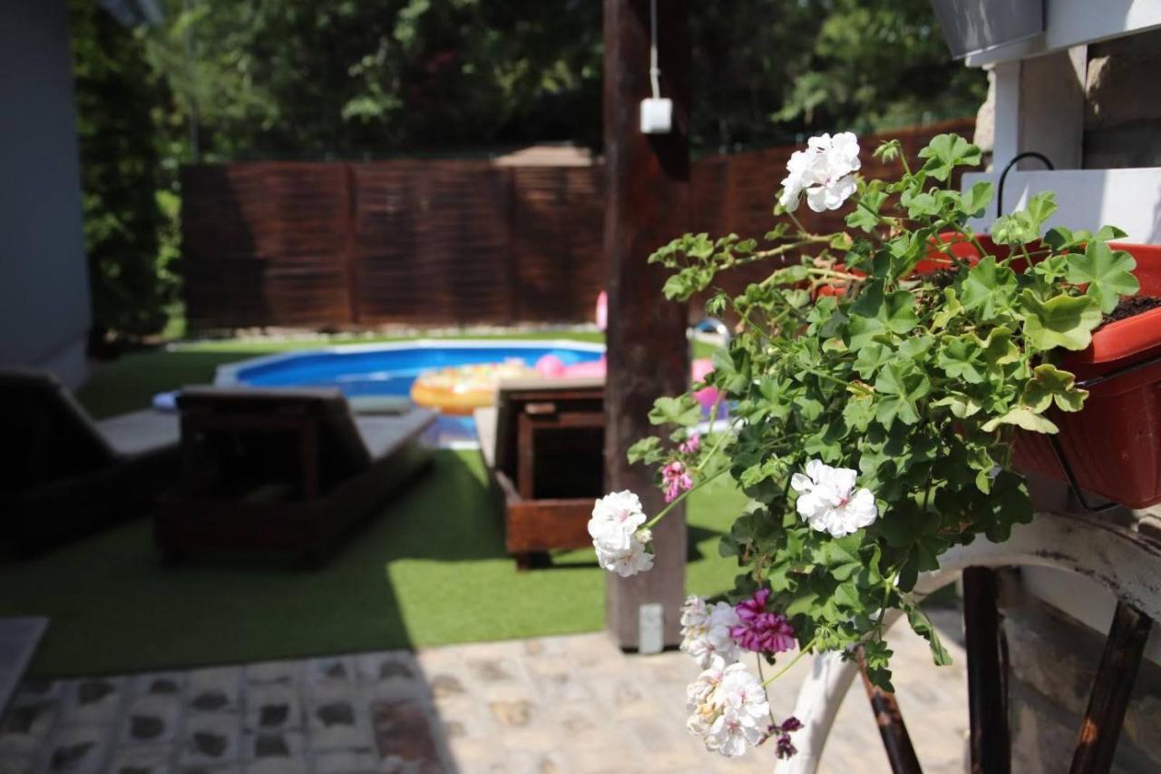 Palic Vila Masa Pr Emina Stipancevic Dış mekan fotoğraf