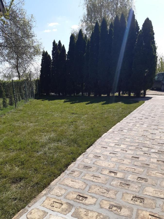 Palic Vila Masa Pr Emina Stipancevic Dış mekan fotoğraf